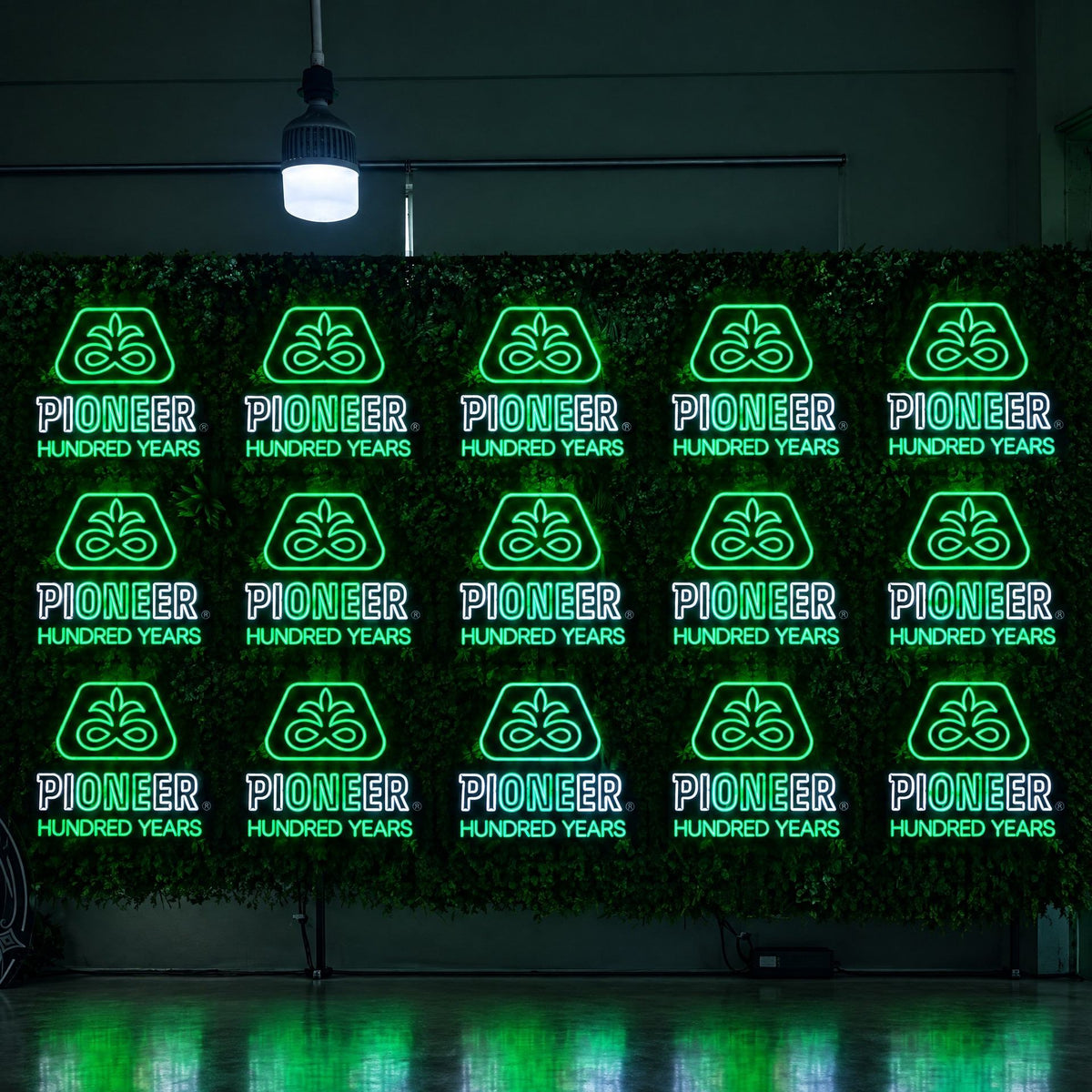 LC-FNS02 · Multi-Color & RGB Dimmable LED Neon Signs