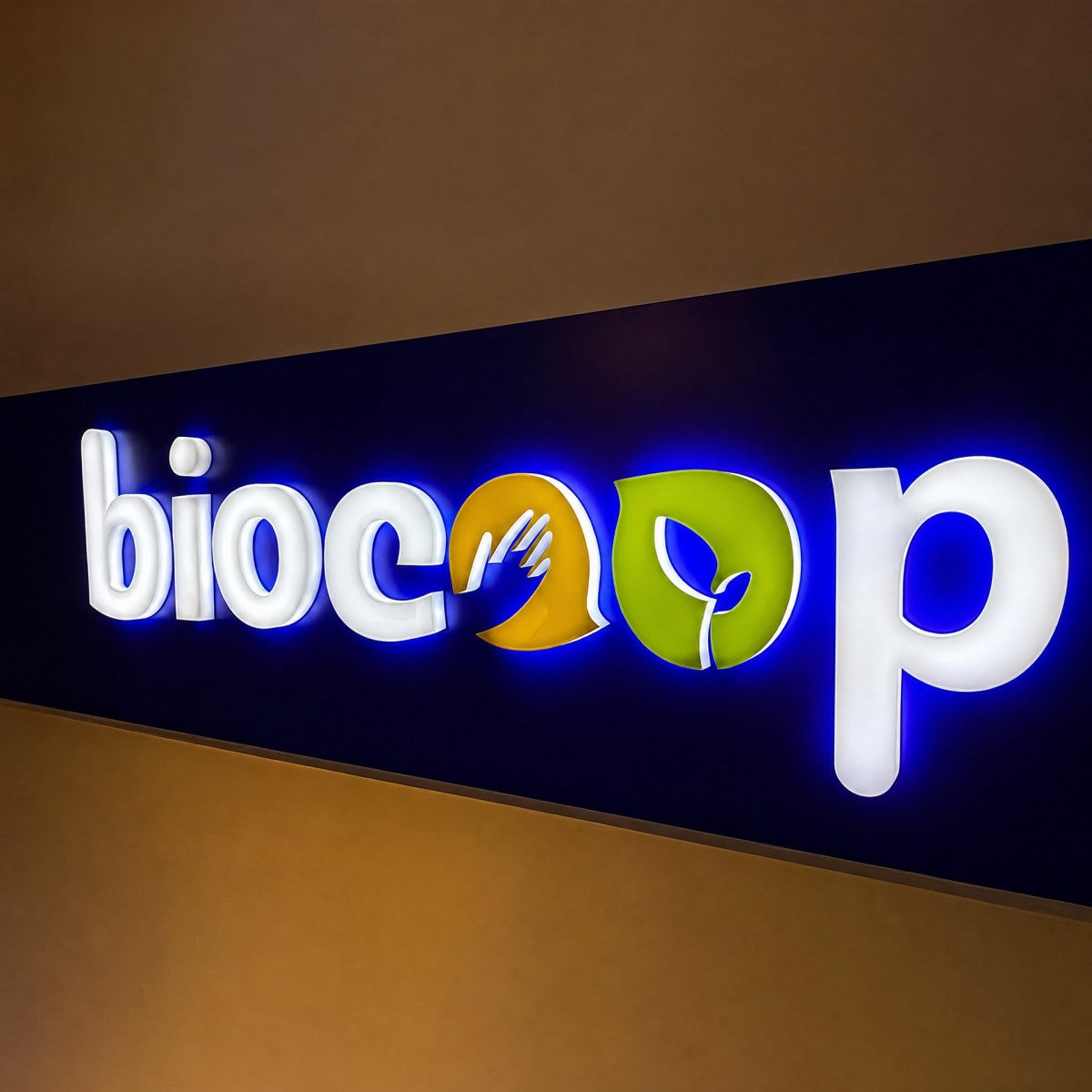 LC-XAL01 · LED Acrylic Normal Style Channel Letters & Signs