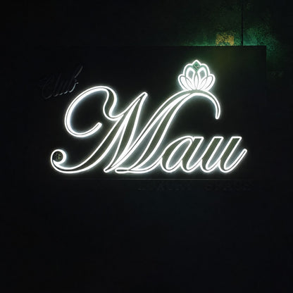 LC-AML02 · LED Acrylic Mini Sidelit Letters & Signs